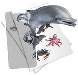 HoloToyz: AR Stickers - Super Sea Creatures