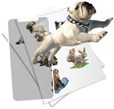 HoloToyz: AR Temporary Tattoos - Pet Party