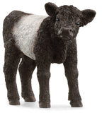 Schleich: Galloway Calf