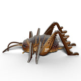 Eugy: Giant Weta - 3D Cardboard Model