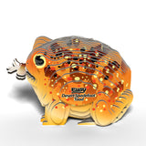 Eugy: Desert Spadefoot Toad - 3D Cardboard Model