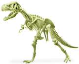 4M: Glowing T-Rex Skeleton