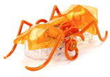 Hex Bot: Mico Ant (Orange)