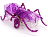 Hex Bot: Mico Ant (Purple)