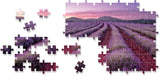 Elevate: Lavender Fields - 500pc Scented Puzzle