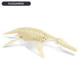 Dig & Discover: Pliosaurus Dig Kit