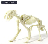 Dig & Discover: Smilidon (Saber-Tooth Tiger) Dig Kit