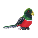 Wild Republic:Rainforest Birds Collared Trogon - 4.5