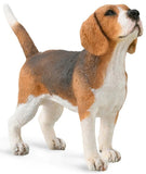 CollectA: Beagle