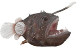 CollectA: Anglerfish