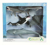 CollectA: Sea Life Boxed (Set of 5)