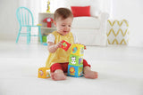 Fisher-Price: Stack & Explore Blocks