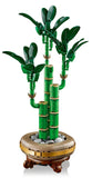 LEGO Botanicals: Lucky Bamboo - (10344)