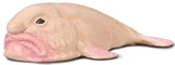 CollectA: Blobfish