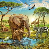 Ravensburger: Animals of the Earth (3x49pc Jigsaws)