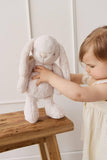 Snuggle Bunnies: Fairy Penelope the Bunny - Pastel 30cm Plush
