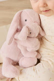 Snuggle Bunnies: Frankie the Hugging Bunny - Blossom 30cm Plush