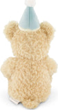 Snuggle Bunnies: Birthday Arthur the Bear - Sky Plush