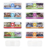 Leapfrog - Magic Adventures Microscope