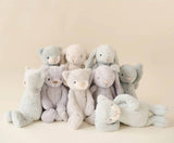 Snuggle Bunnies: Elsie the Kitty - Willow 20cm Plush