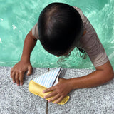 Sunnylife: Dive Buddies - Sammy the Seagull Multi (Set of 6)