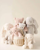 Snuggle Bunnies: Penelope the Bunny - Moonbeam 30cm Plush