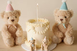 Snuggle Bunnies: Birthday Arthur the Bear - Sky Plush
