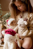 Snuggle Bunnies: Fable The Cosy Deer Plush