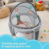 Fisher Price On-The-Go Baby Dome (Whimsical Forest)
