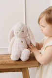 Snuggle Bunnies: Fairy Penelope the Bunny - Pastel 30cm Plush