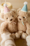 Snuggle Bunnies: Birthday Arthur the Bear - Sky Plush