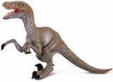 CollectA - Velociraptor