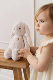 Snuggle Bunnies: Fairy Penelope the Bunny - Pastel 30cm Plush