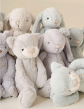 Snuggle Bunnies: George the Bear - Moonbeam 20cm Plush