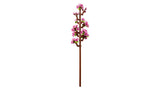 LEGO Botanicals: Cherry Blossoms - (40725)
