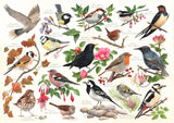 House of Puzzles: Birds in My Garden (1000pc Jigsaw)