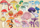 House of Puzzles: Mushroom Mania (1000pc Jigsaw)